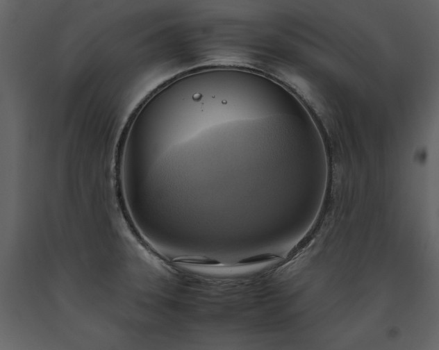 X0000093611331200710221559