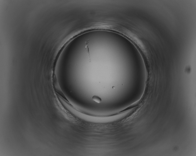 X0000093611332200710221559
