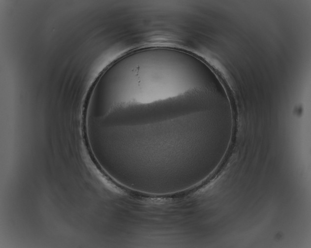 X0000093611333200710221559