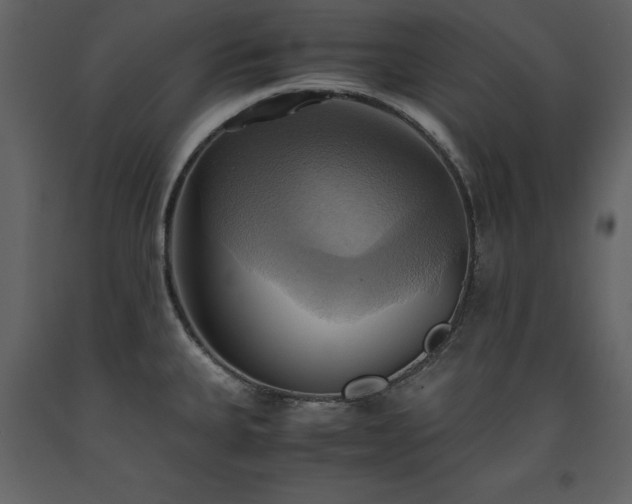 X0000093611335200710221559