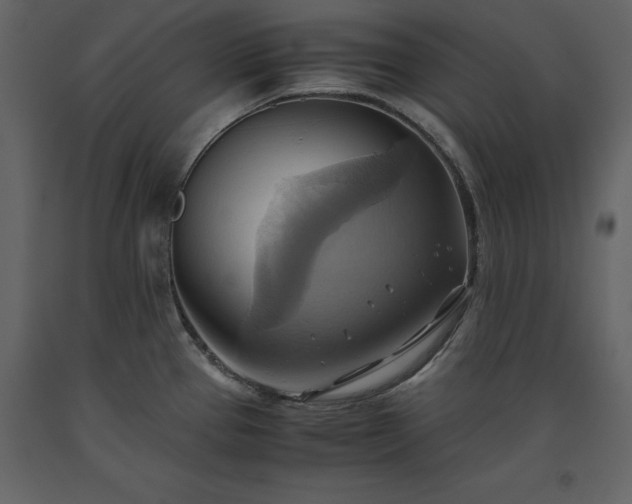 X0000093611337200710221559