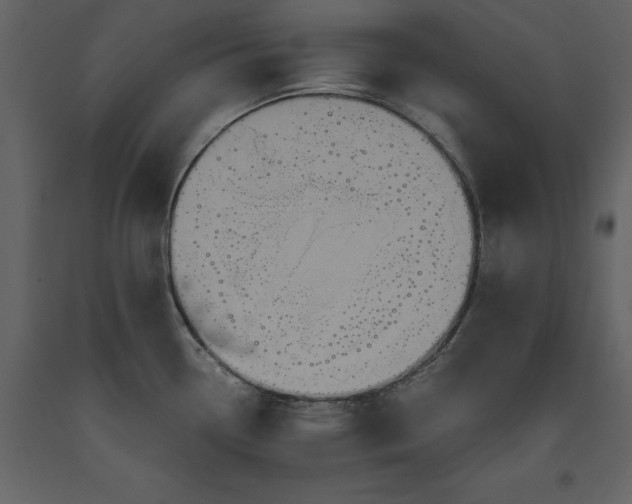 X0000093611338200710221559