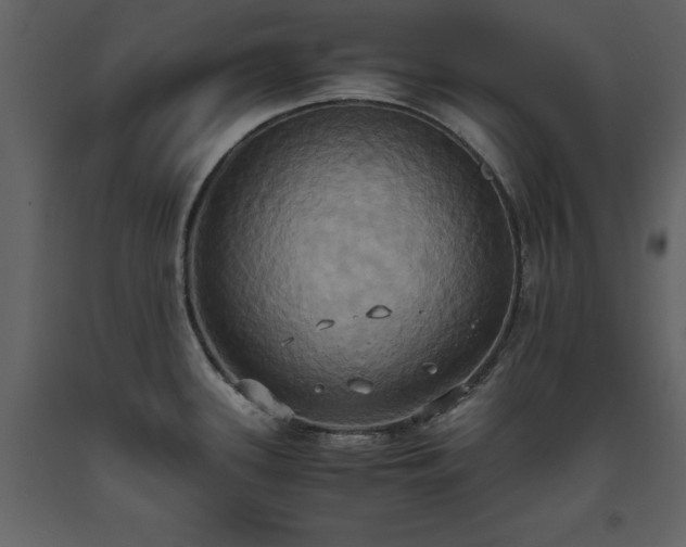 X0000093611339200710221559