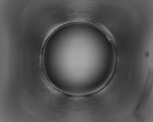 X0000093611340200710221559
