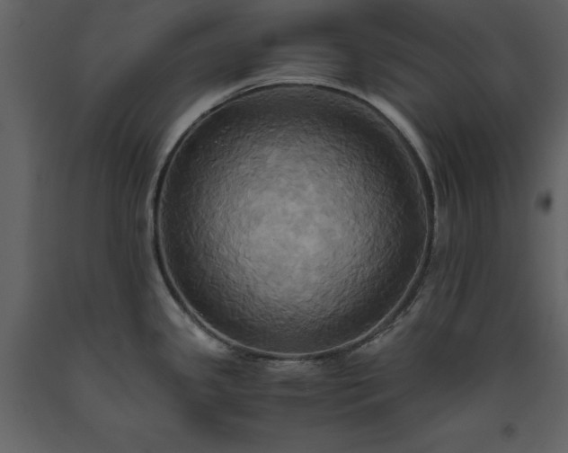 X0000093611341200710221559
