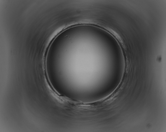 X0000093611342200710221559