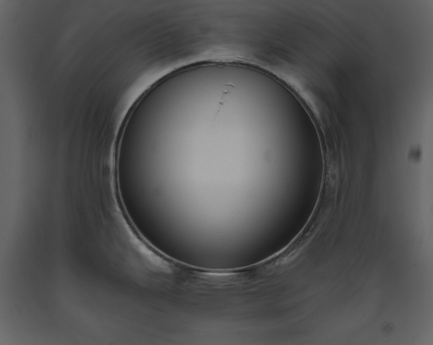 X0000093611343200710221559
