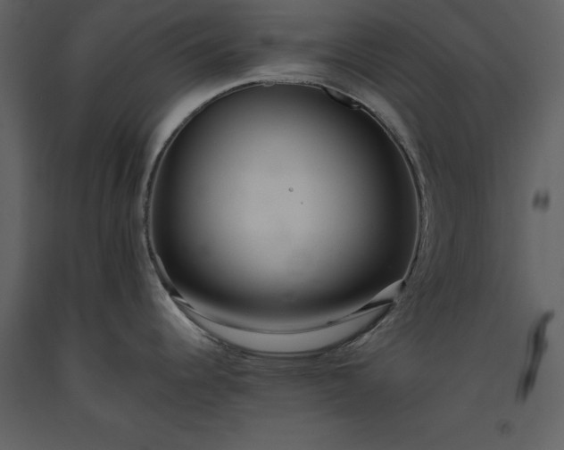X0000093611344200710221559
