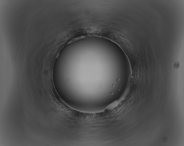 X0000093611345200710221559