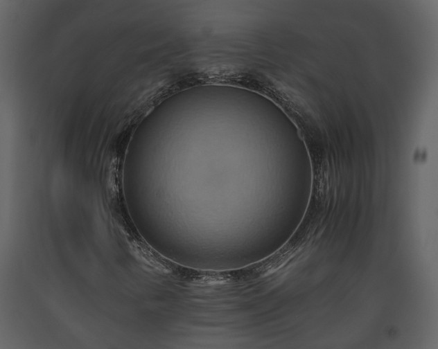 X0000093611346200710221559