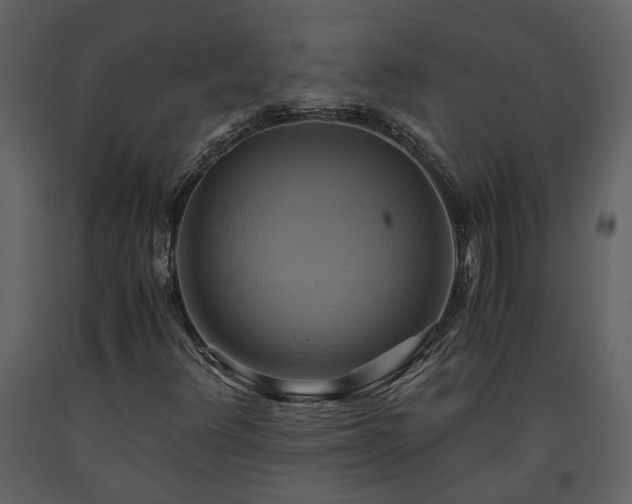X0000093611348200710221559