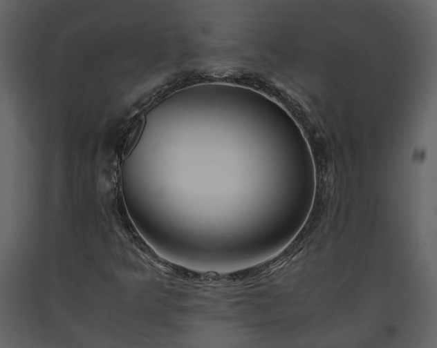 X0000093611349200710221559