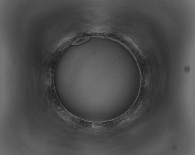 X0000093611350200710221559