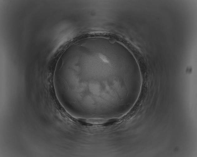 X0000093611351200710221559