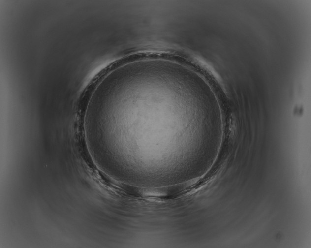 X0000093611352200710221559