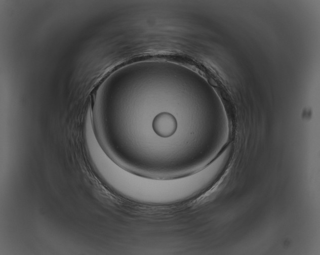 X0000093611353200710221559