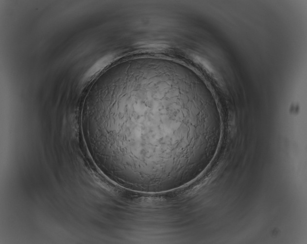 X0000093611354200710221559