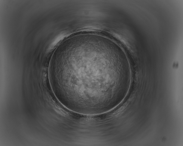 X0000093611355200710221559