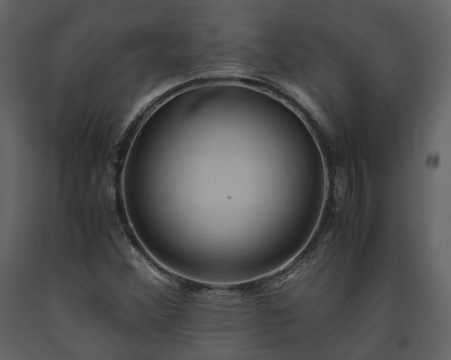 X0000093611356200710221559