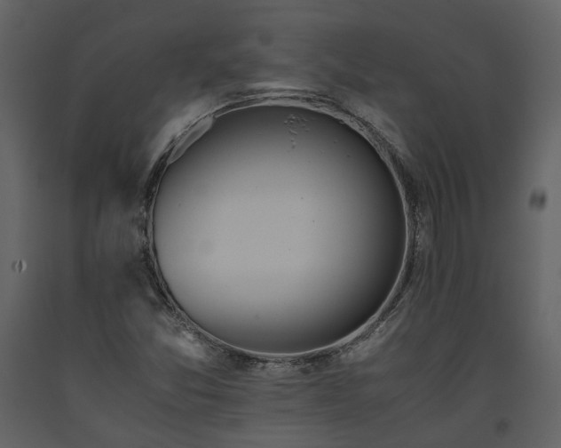 X0000093611357200710221559