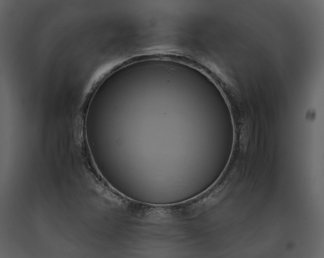 X0000093611358200710221559