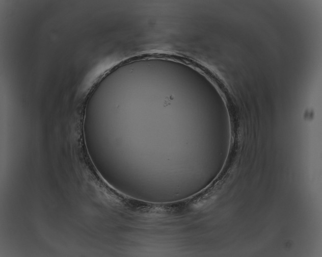 X0000093611359200710221559