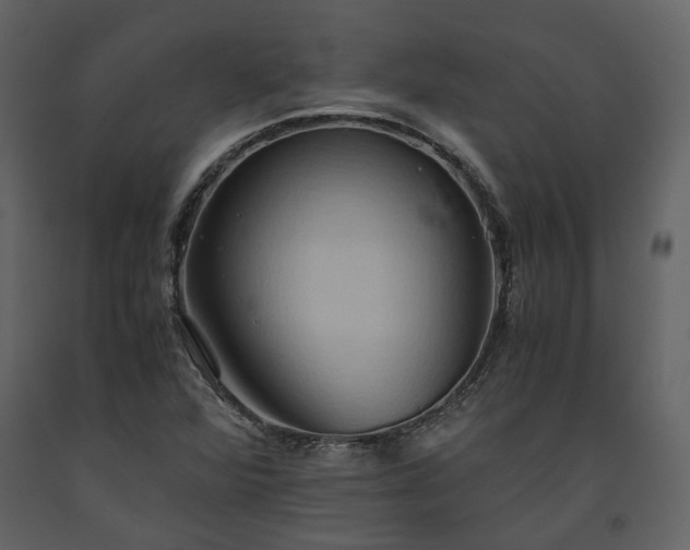 X0000093611360200710221559