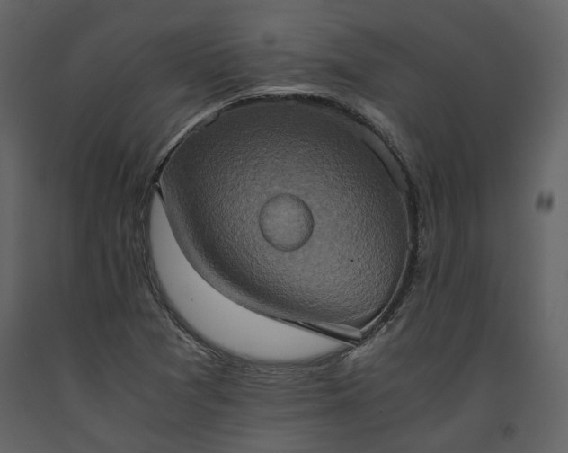 X0000093611361200710221559