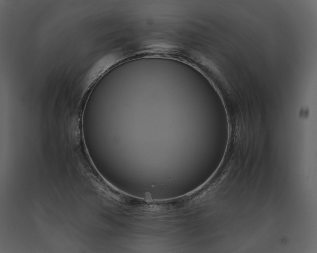 X0000093611362200710221559