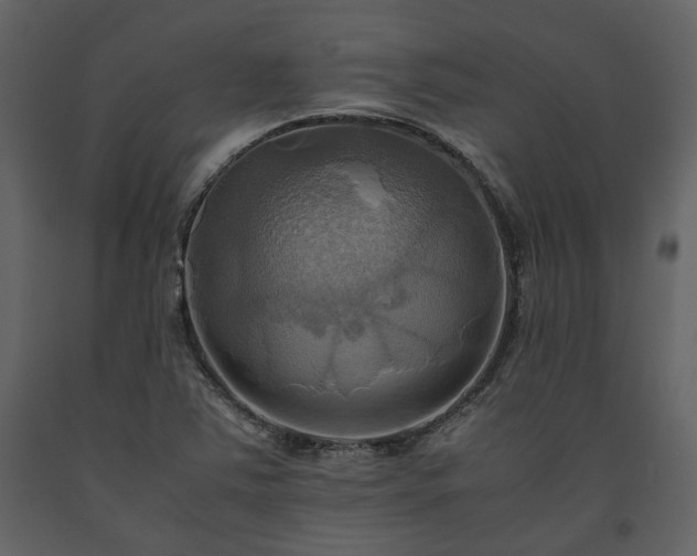 X0000093611363200710221559