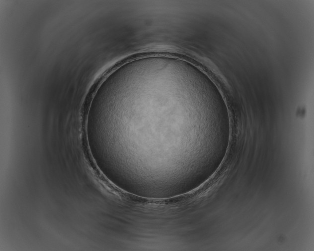 X0000093611364200710221558