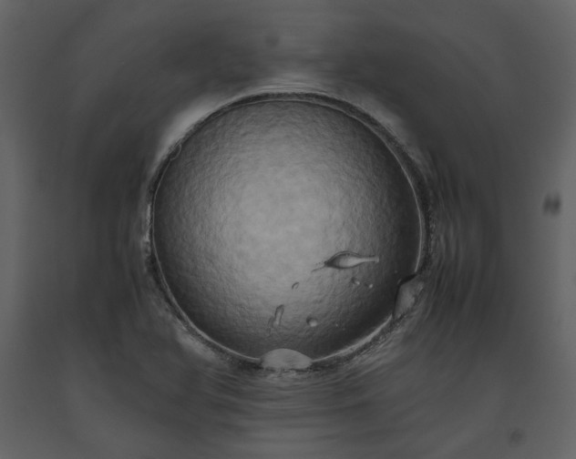 X0000093611366200710221558