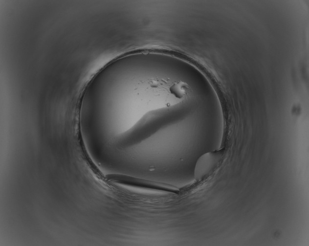 X0000093611367200710221558