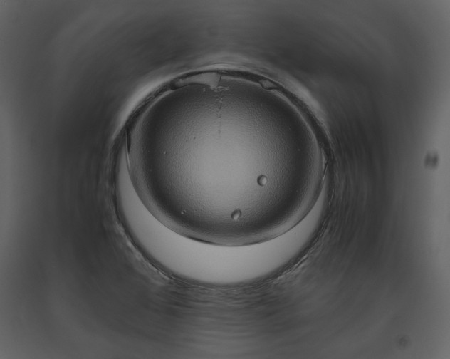 X0000093611368200710221558