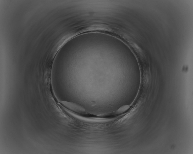 X0000093611369200710221558