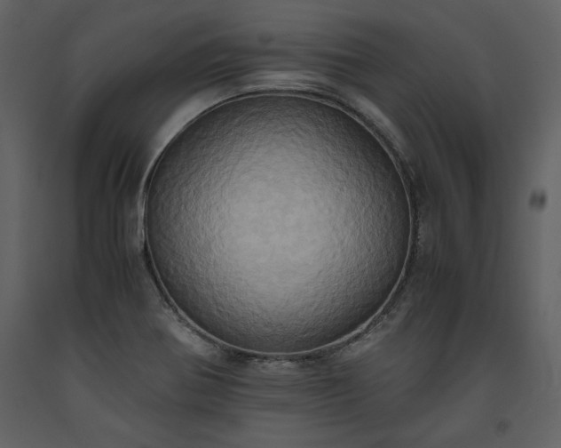 X0000093611370200710221558
