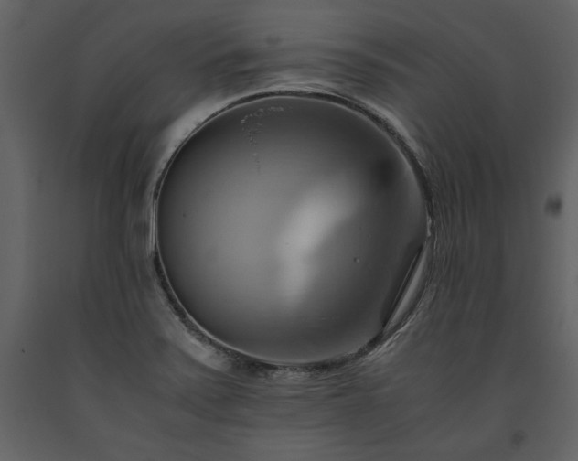 X0000093611371200710221558