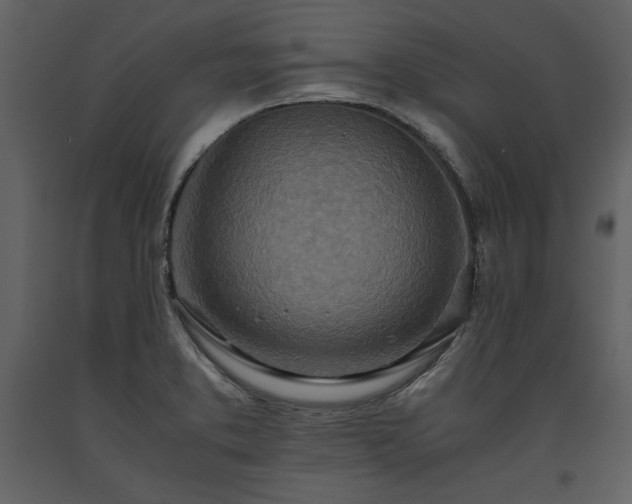X0000093611373200710221558