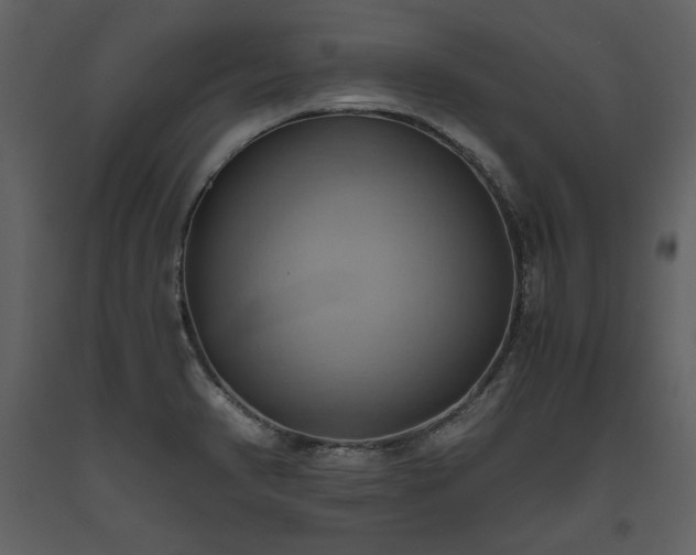X0000093611374200710221558