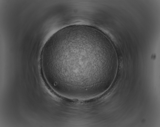 X0000093611375200710221558