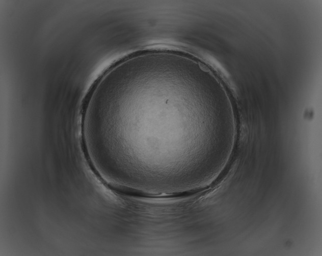 X0000093611376200710221558