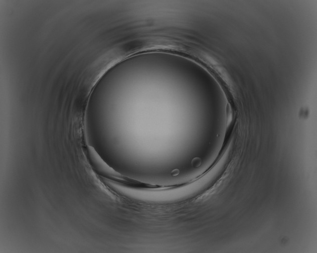 X0000093611377200710221558