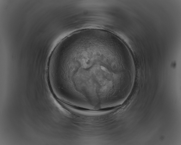 X0000093611379200710221558
