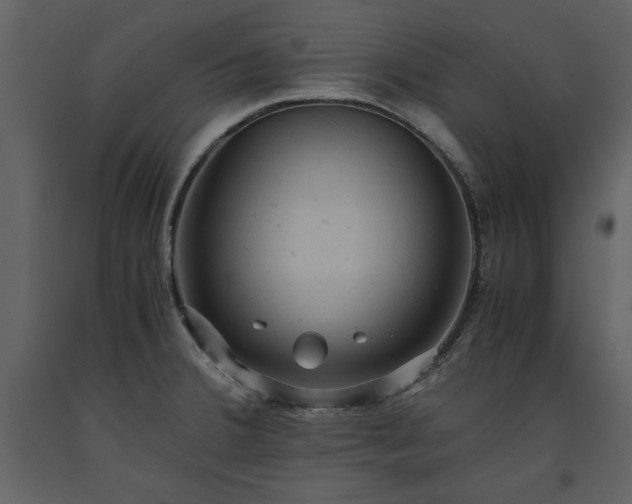 X0000093611380200710221558