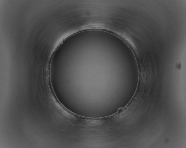 X0000093611382200710221558