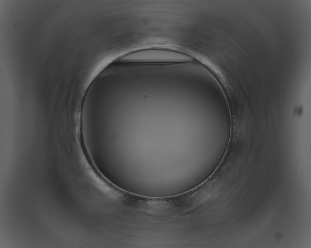 X0000093611383200710221558
