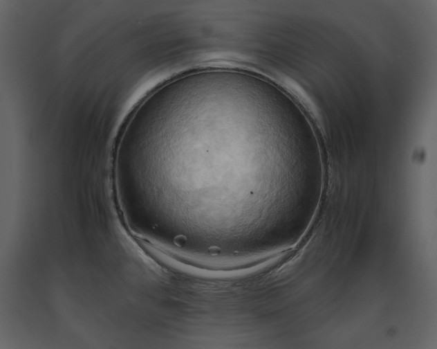 X0000093611384200710221558