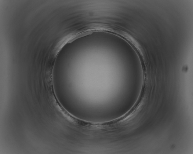 X0000093611385200710221558