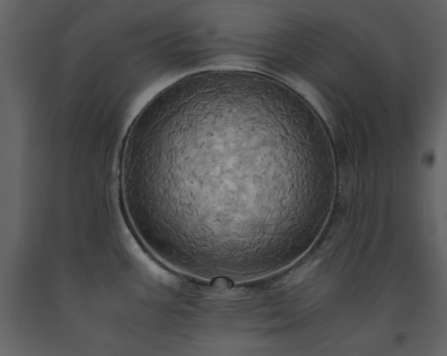 X0000093611387200710221558