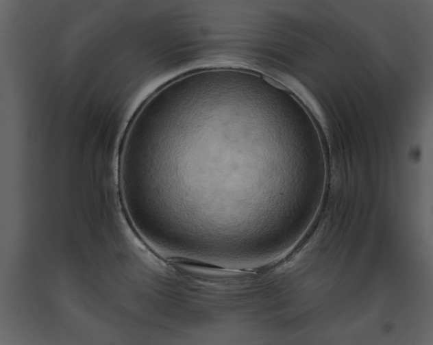 X0000093611388200710221558